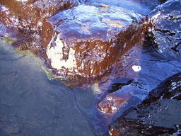 093-2_trasierrasab_04.jpg