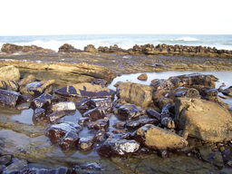 094-2_trasierrasab_05.jpg